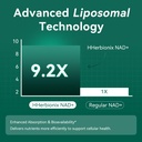liposomal-nad-supplement-with-resveratro-4.jpg