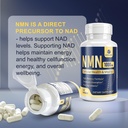 nmn-supplement-nicotinamide-mononucleoti-6.jpg