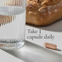 aceworkz-appetite-suppressant-for-weight-6.jpg