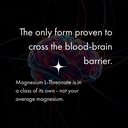 naomi-magtein-magnesium-l-threonate-2000-4.jpg