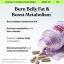 lemme-burn-belly-fat-capsules-clinically-2.jpg