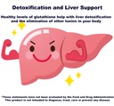 reg-activ-essential-me-3-30-capsules-a-g-4.jpg