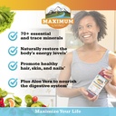 maximum-living-mineralrich-minerals-supp-4.jpg
