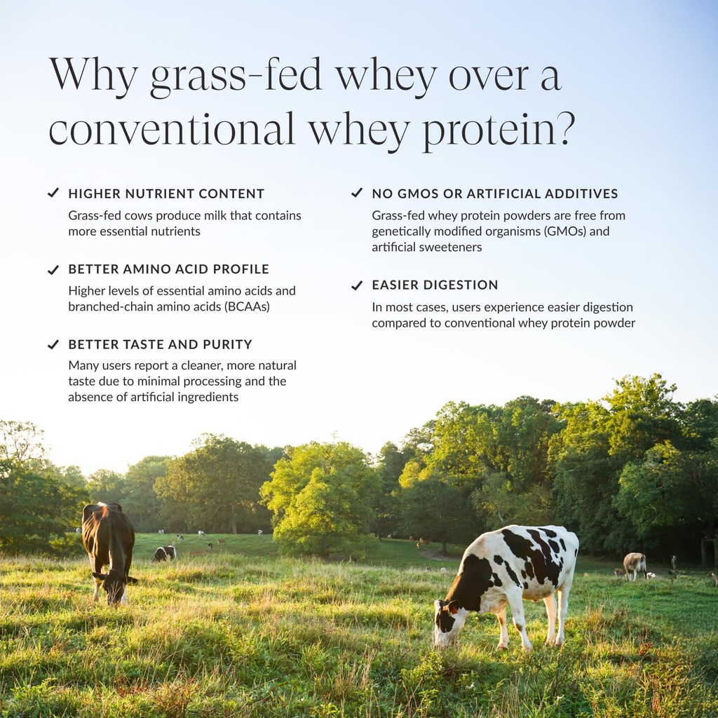 beam-grass-fed-whey-protein-powder-choco-5.jpg