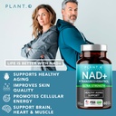 nad-supplement-high-purity-500mg-of-95-p-2.jpg