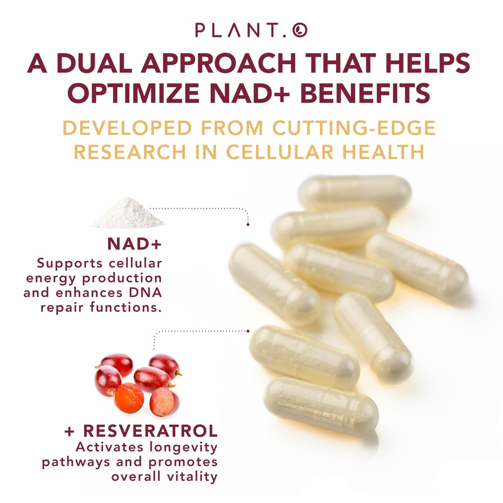 nad-supplement-high-purity-500mg-of-95-p-6.jpg