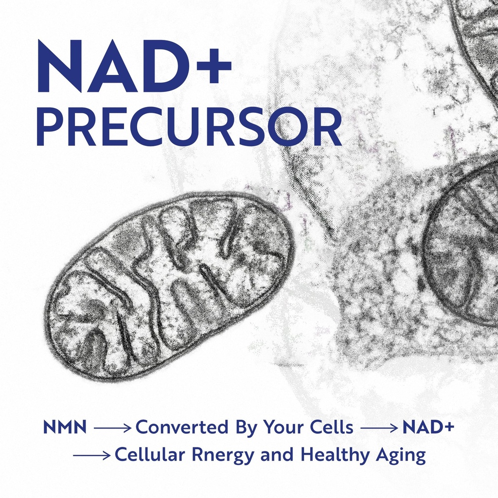 nmn-supplement-500mg-99-pure-nad-precurs-5.jpg