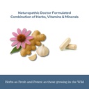 eclectic-herb-vitabiotic-capsules-immune-6.jpg