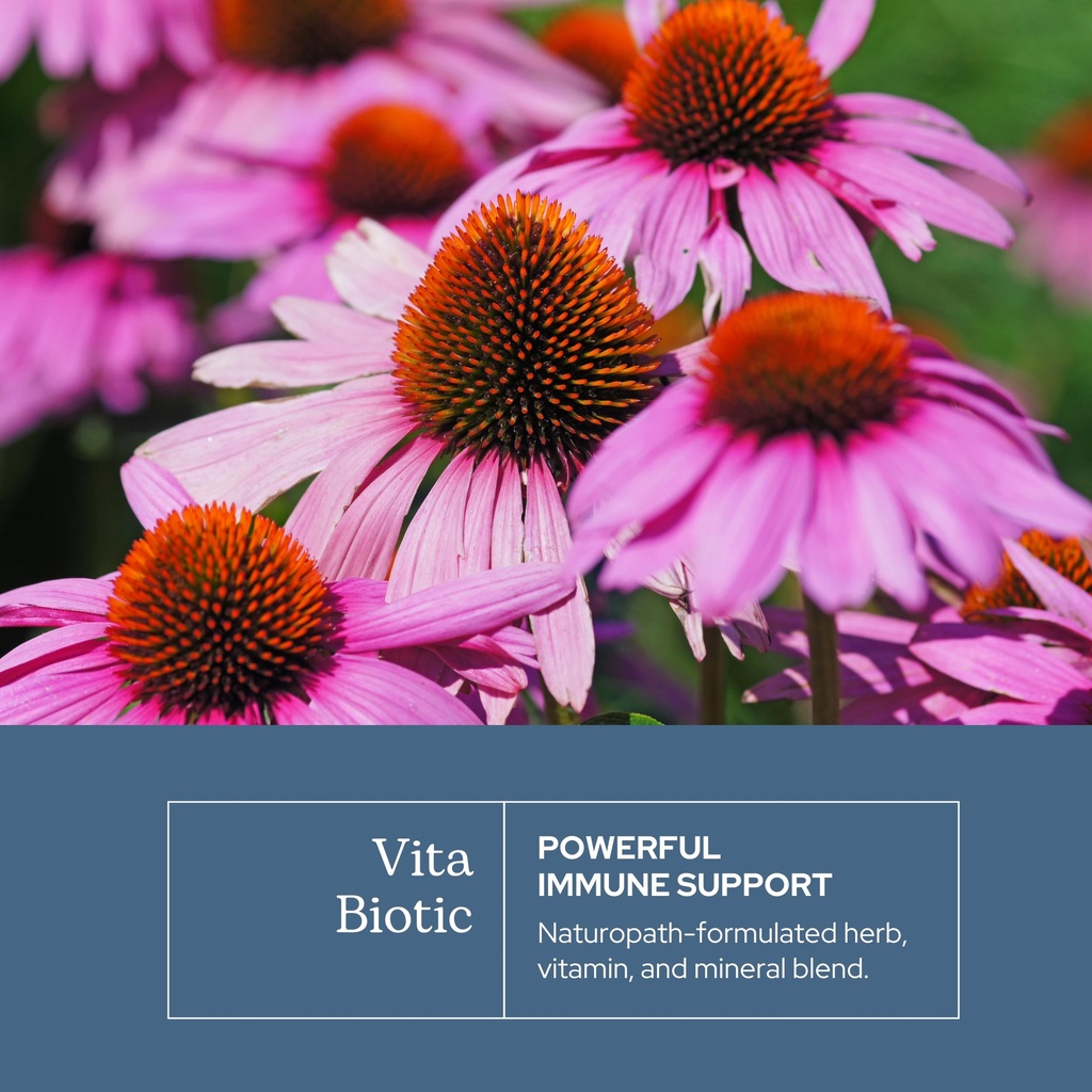eclectic-herb-vitabiotic-capsules-immune-3.jpg