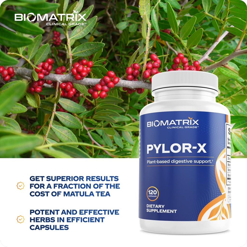 biomatrix-pylor-x-gut-health-supplement--5.jpg