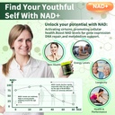 nad-supplement-liposomal-nicotinamide-ri-3.jpg