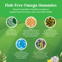 bundle-of-kids-dha-omega-3-gummies-fatty-6.jpg