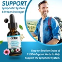 lymphatic-drainage-supplements-chlorophy-4.jpg