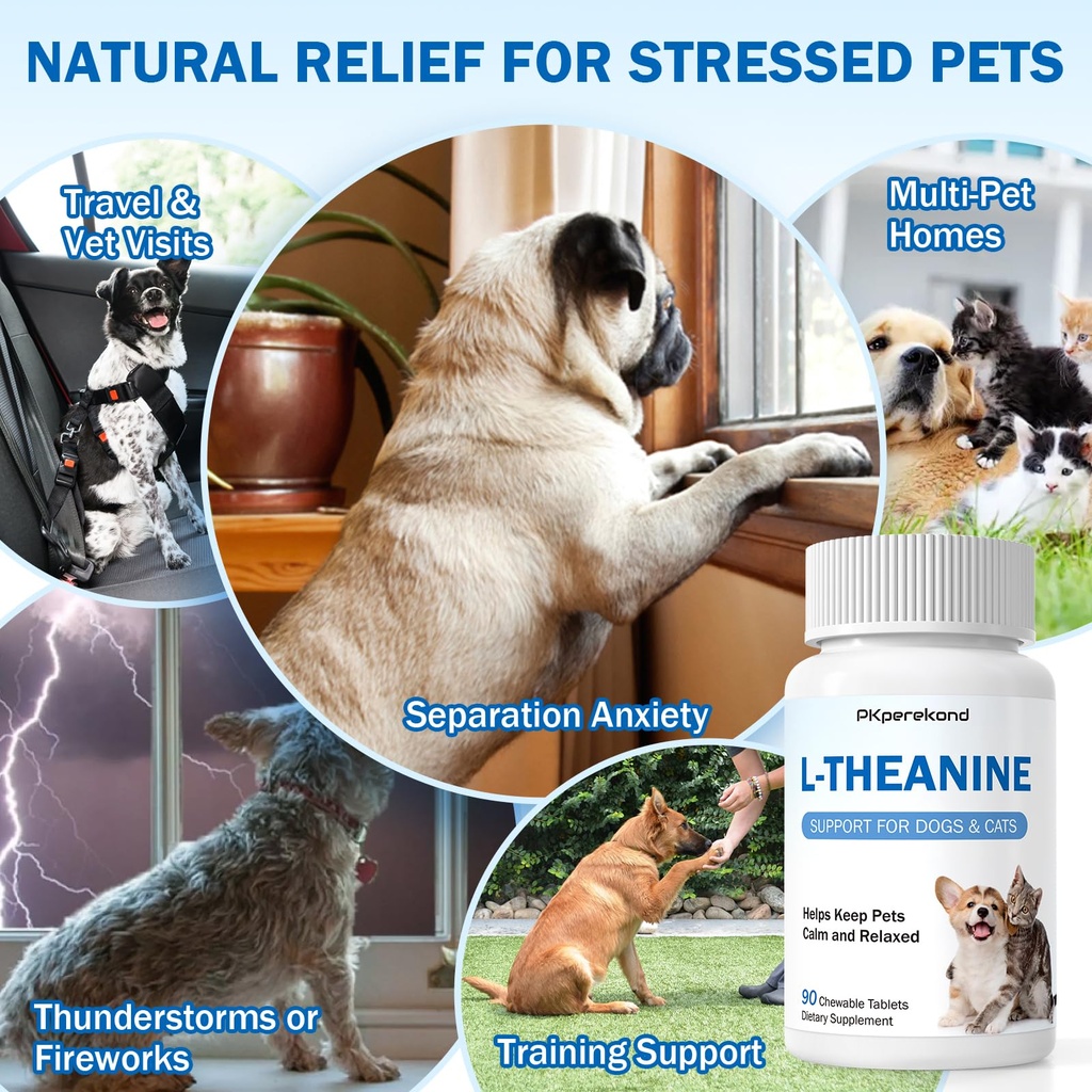 l-theanine-supplement-for-dogs-and-cats--2.jpg