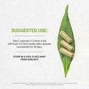 secrets-of-the-tribe-wild-yam-usda-organ-3.jpg