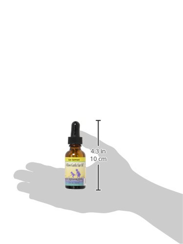 willow-garlic-oil-herbs-for-kids-1-oz-li-2.jpg