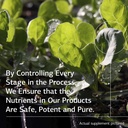 standard-process-cal-ma-plus-calcium-sup-5.jpg