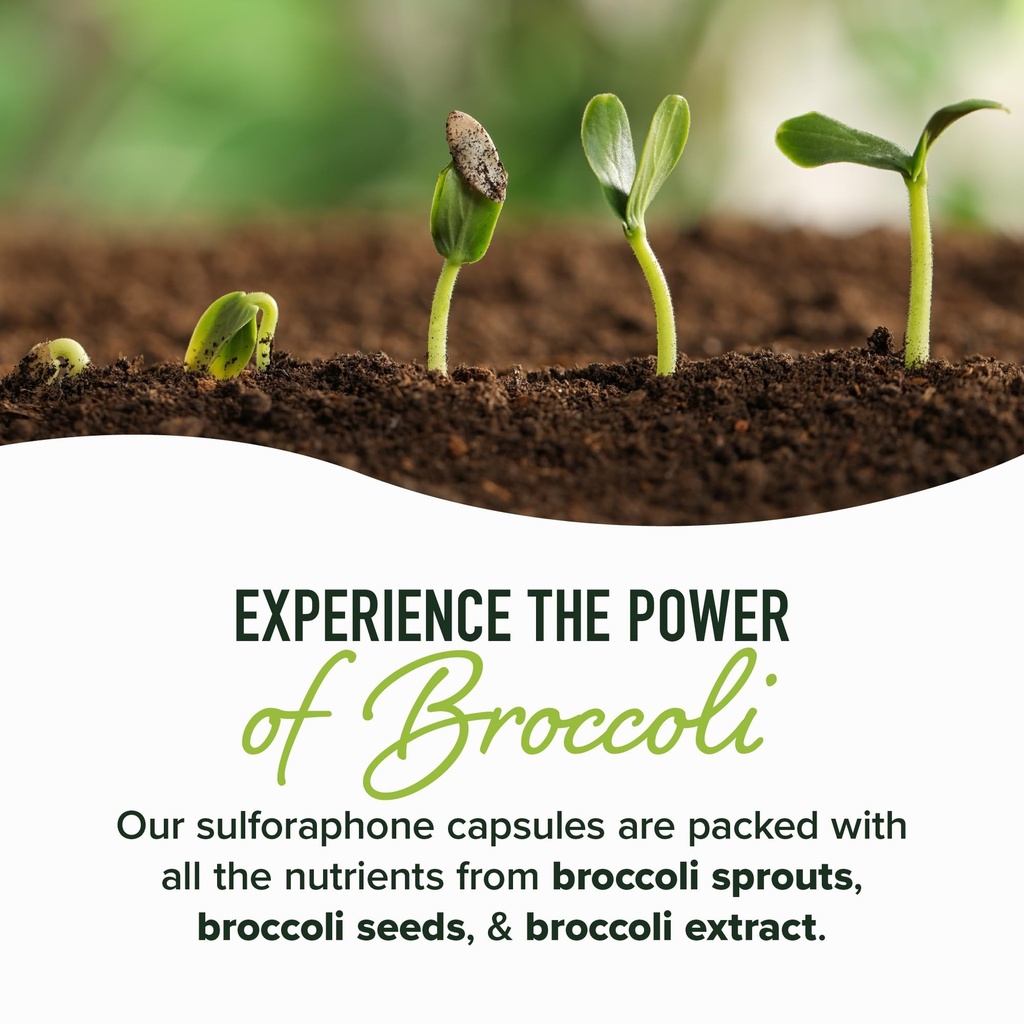 50mg-sulforaphane-supplement-from-brocco-4.jpg