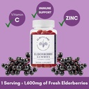 elderlane-elderberry-gummies-for-adults--3.jpg