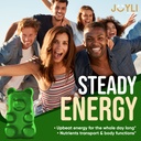 joyli-nutrition-2-pack-sea-moss-gummies--4.jpg