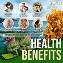 joyli-nutrition-2-pack-sea-moss-gummies--2.jpg