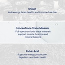 trace-minerals-shilajit-honey-sticks-min-5.jpg