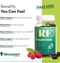 super-mushroom-gummies-i-sugar-free-orga-3.jpg