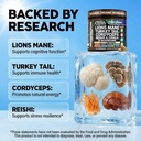 aurashroom-mushroom-supplement-lions-man-3.jpg