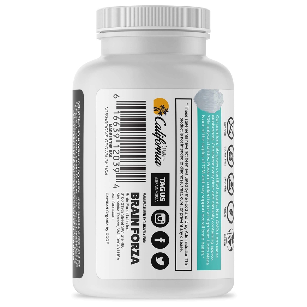 brain-forza-organic-lion-s-mane-mushroom-3.jpg