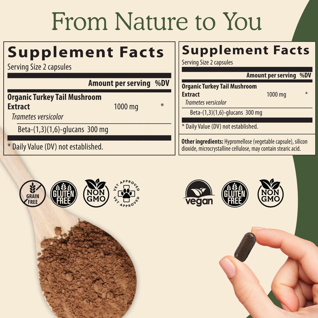 real-mushrooms-immune-support-cognition--3.jpg