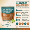 wild-marine-collagen-peptides-with-bovin-2.jpg