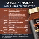 21-in-1-liposomal-12-active-types-magnes-2.jpg