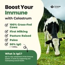 immerge-health-super-colostrum-powder-60-4.jpg