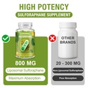 800-mg-liposomal-sulforaphane-powerful-d-4.jpg