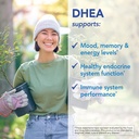 patient-one-dhea-50-mg-supplement-to-sup-4.jpg