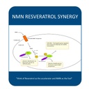maac10-nmn-resveratrol-nad-combo-pack-ni-6.jpg