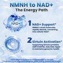 nmnh-nmn-supplement-alternative-nad-supp-6.jpg
