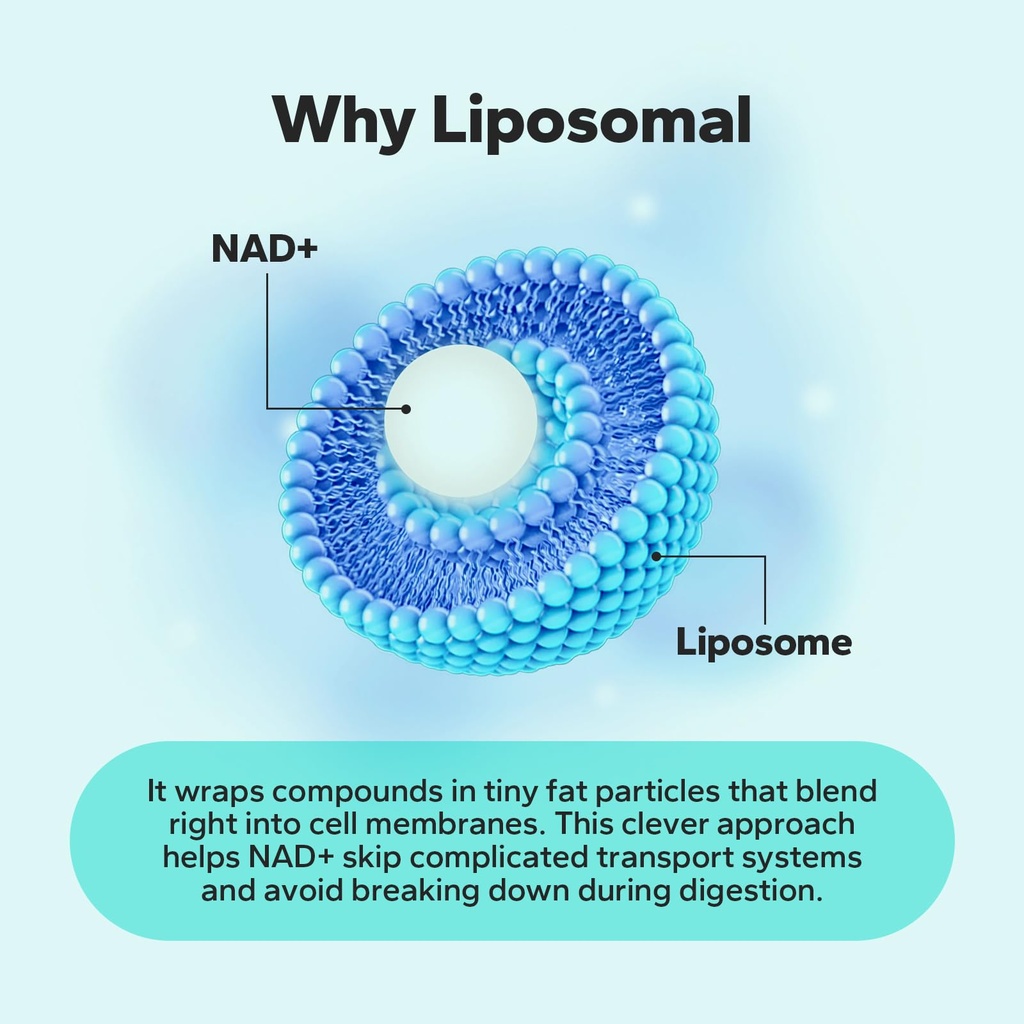 liposomal-nad-supplement-650mg-nad-resve-4.jpg