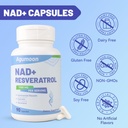 nad-supplement-1000mg-liposomal-nad-nico-6.jpg