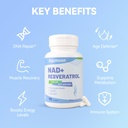 nad-supplement-1000mg-liposomal-nad-nico-4.jpg
