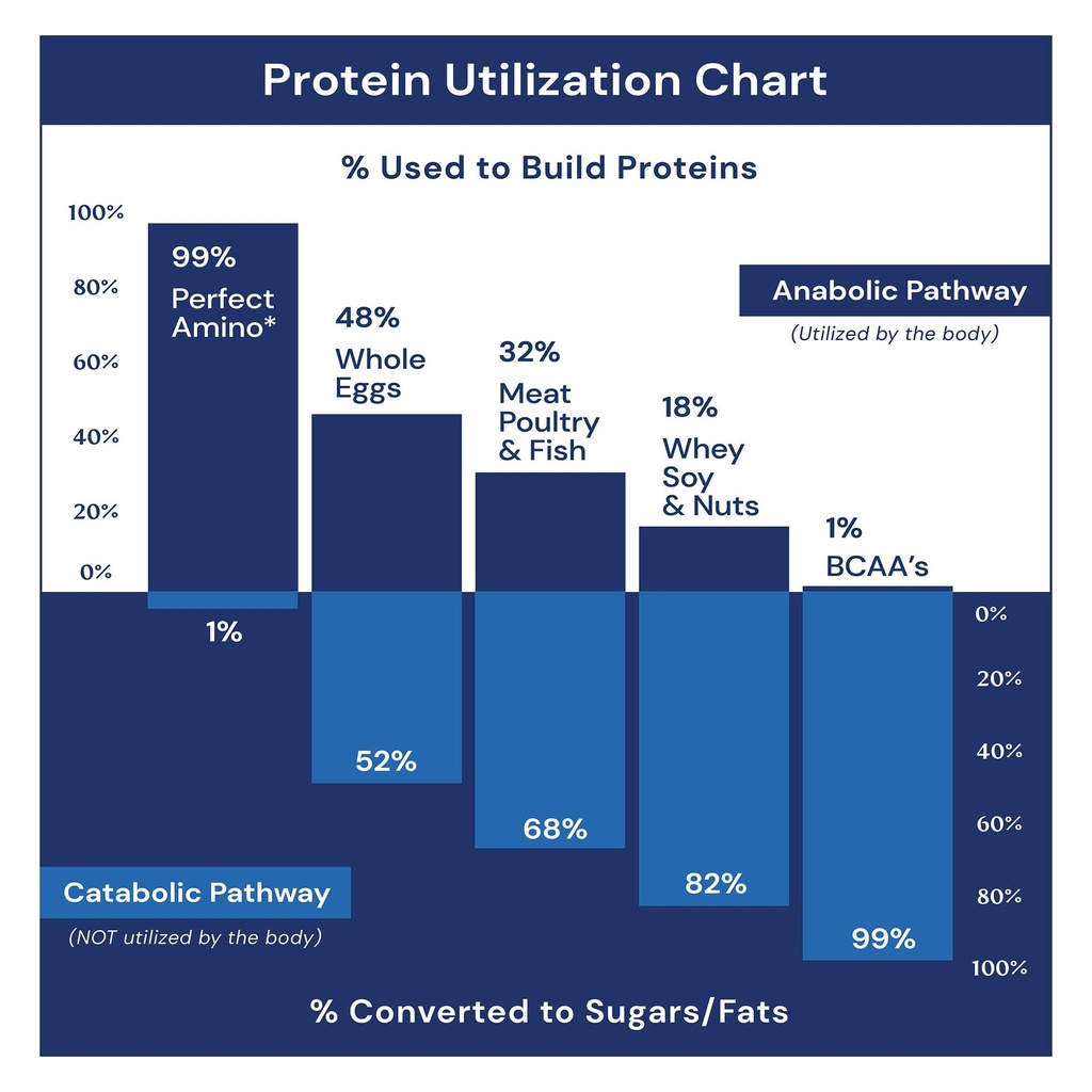 bodyhealth-gut-restore-with-perfectamino-6.jpg