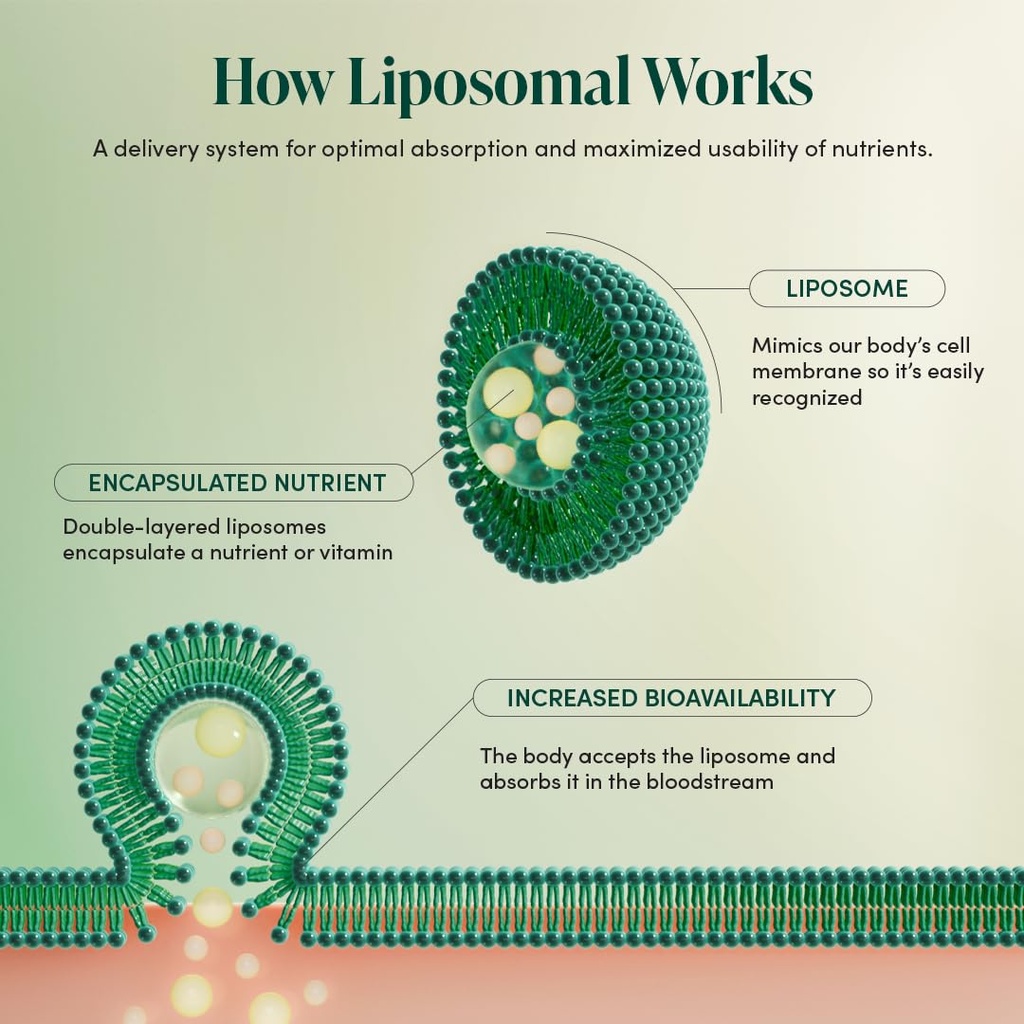 kid-s-immune-liposomal-vitamin-c-by-beek-5.jpg