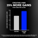 jacked-factory-creatine-hmb-powder-suppl-2.jpg