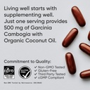 sports-research-garcinia-cambogia-extrac-4.jpg