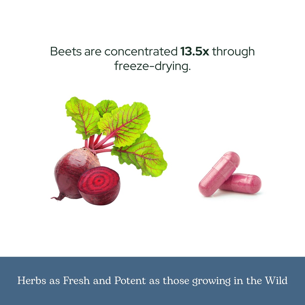 eclectic-herb-beet-juice-45-servings-90--6.jpg
