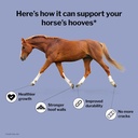 formula-707-hoof-health-equine-supplemen-3.jpg