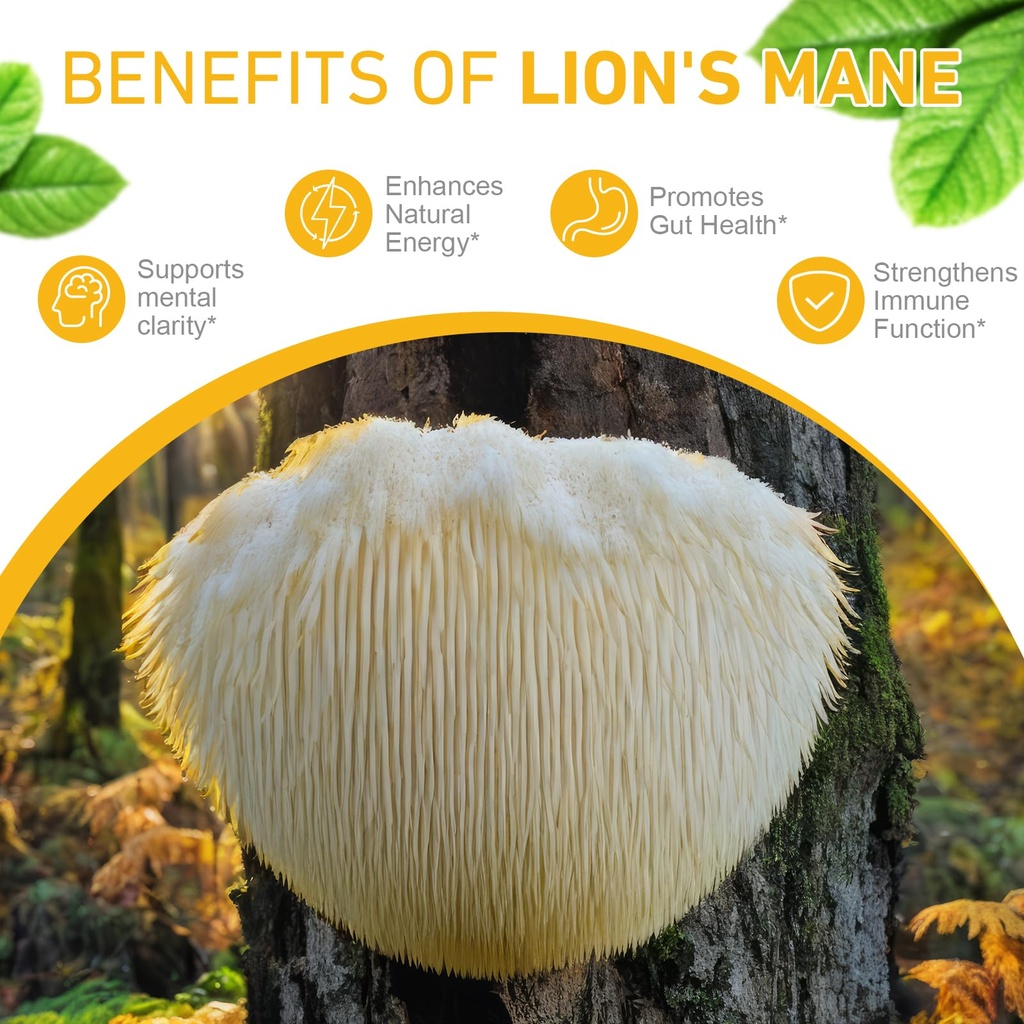lions-manemushroom-drops-brain-supplemen-3.jpg