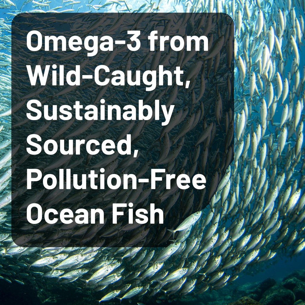 naturewise-quadruple-strength-omega-3-fi-2.jpg