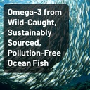 naturewise-quadruple-strength-omega-3-fi-2.jpg