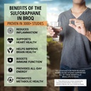 2x-sulforaphane-of-others-for-inflammati-4.jpg